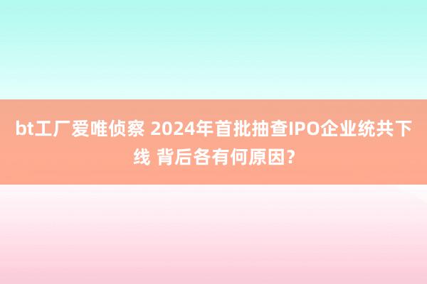 bt工厂爱唯侦察 2024年首批抽查IPO企业统共下线 背后各有何原因？