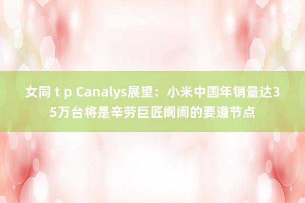 女同 t p Canalys展望：小米中国年销量达35万台将是辛劳巨匠阛阓的要道节点