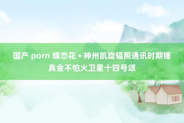 国产 porn 蝶恋花 • 神州凯旋辐照通讯时期锤真金不怕火卫星十四号颂