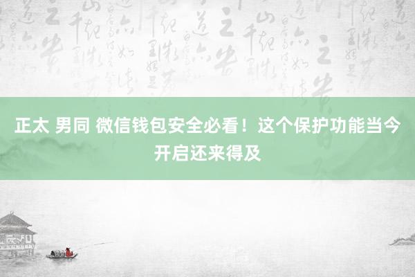 正太 男同 微信钱包安全必看！这个保护功能当今开启还来得及