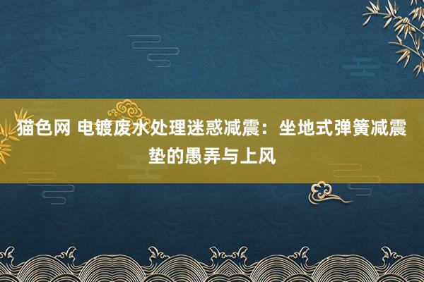 猫色网 电镀废水处理迷惑减震：坐地式弹簧减震垫的愚弄与上风