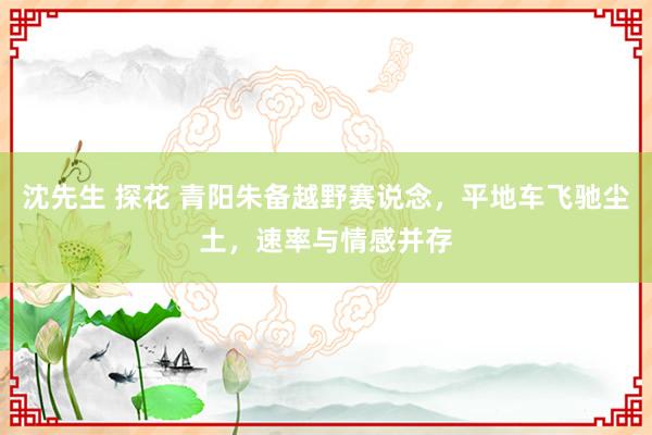 沈先生 探花 青阳朱备越野赛说念，平地车飞驰尘土，速率与情感并存