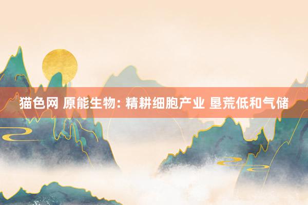 猫色网 原能生物: 精耕细胞产业 垦荒低和气储
